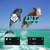 G2官方发布G2海豚和BLG牛高高跃起图片：都是3